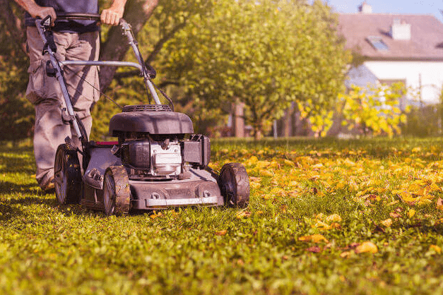 lawn mowing fall